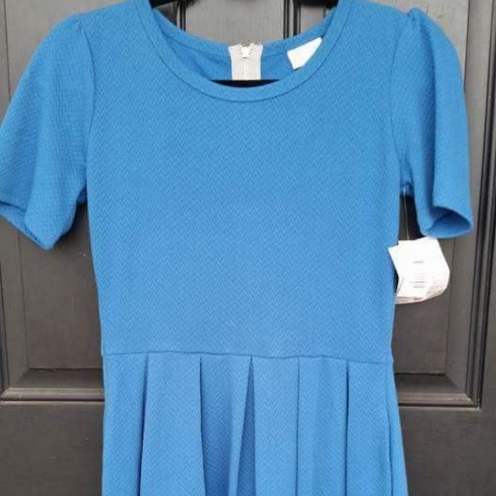 Nwt lularoe Amelia dress